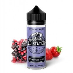 Red Berries Slash 24/120ML Old Stations by Steam Train